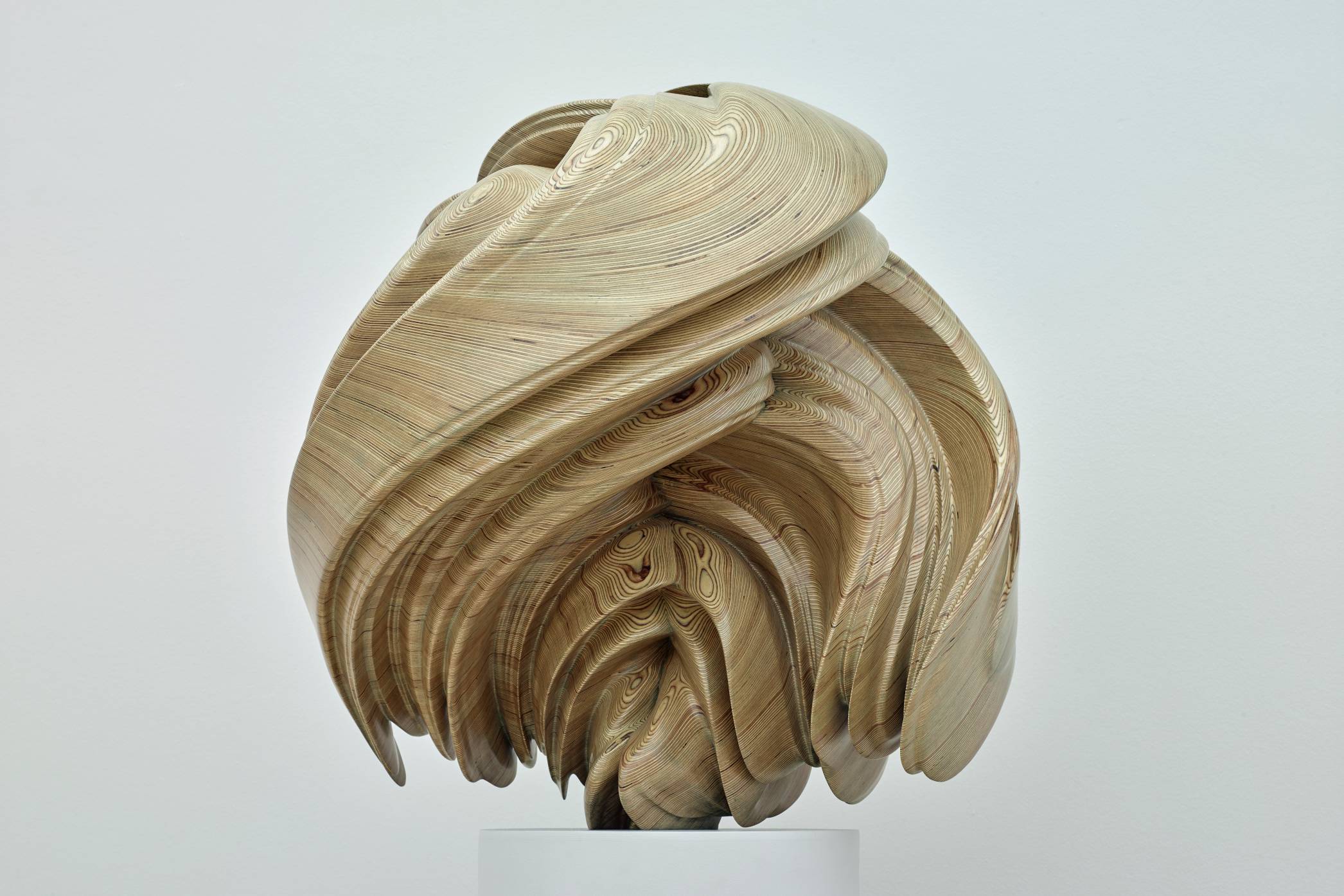 Obra: Willow